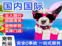 重庆仙女山航空快递国际宠物托运 【国